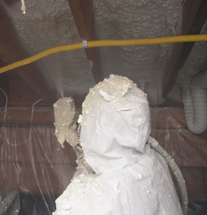 Vallejo CA crawl space insulation